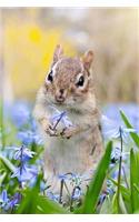 Chipmunk with a Flower - Lined Notebook with Margins: 101 Pages, Medium Ruled, 6 x 9 Journal, Soft Cover