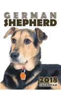 German Shepherd 2018 Calendar