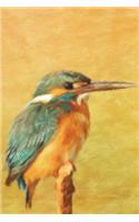 Kingfisher on a Twig - Lined Notebook with Margins