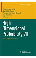 High Dimensional Probability VII