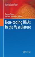 Non-Coding Rnas in the Vasculature
