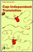 Cap-Independent Translation