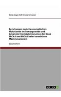 Beziehungen zwischen somatischen Mutationen im Tumorgewebe und bekannter Keimbahnmutation der Gene BRCA1 und BRCA2 beim hereditären Mammakarzinom