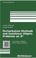 Perturbation Methods and Semilinear Elliptic Problems on R^n