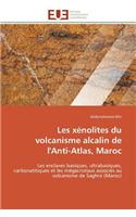 Les Xénolites Du Volcanisme Alcalin de l'Anti-Atlas, Maroc