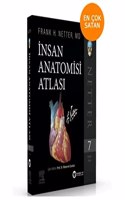 Insan Anatomisi Atlasi