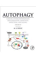 Autophagy: Cancer, Other Pathologies, Inflammation, Immunity, Infection, and Aging