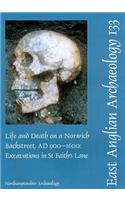 Life and Death on a Norwich Backstreet Ad 900-1600