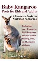 Baby Kangaroo Facts for Kids and Adults