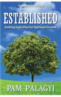 Established: Seeking God's Plan for Spiritual Growth