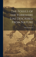 The Fossils of the Yorkshire Lias Described From Nature