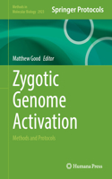 Zygotic Genome Activation