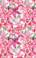 Pink Aquilegia 