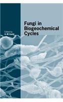 Fungi in Biogeochemical Cycles