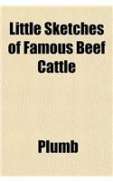 Little Sketches of Famous Beef Cattle