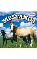 Mustangs