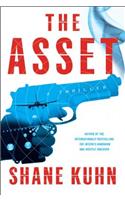The Asset