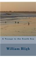 A Voyage to the South Sea