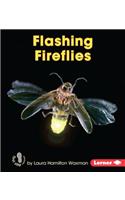 Flashing Fireflies