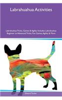 Labrahuahua Activities Labrahuahua Tricks, Games & Agility Includes: Labrahuahua Beginner to Advanced Tricks, Fun Games, Agility & More