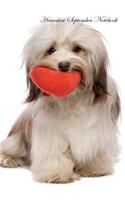 Havanese September Notebook Havanese Record, Log, Diary, Special Memories, To Do List, Academic Notepad, Scrapbook & More