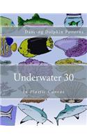 Underwater 30