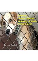 Charlie's Animal Shelter Amazing Animals