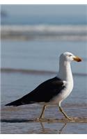 Seagull Wading in the Surf on the Beach Journal: 150 Page Lined Notebook/Diary