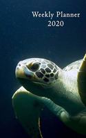 Weekly Planner 2020: Sea Turtle - 6x9 - Calendar - Organizer - calendar - weekly Calendar - Diary - Journal -