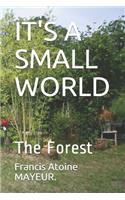 It's a Small World: The Forest