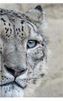 Snow Leopard Notebook