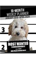 2019-2020 Weekly Planner - Most Wanted Labradoodle: Daily Diary Monthly Yearly Calendar Large 8.5" x 11" Schedule Journal Organizer Notebook Appointment(21 Dog Planners 2019-2020)