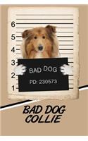 Bad Dog Collie: Blank Cookbook Recipes & Notes Featuring 120 Pages 6x9