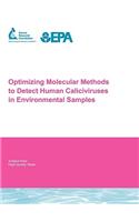 Optimizing Molecular Methods to Detect Human Caliciviruses in Environmental Samples