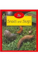 Snails and Slugs