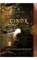 Tindr: Book Five of The Circle of Ceridwen Saga