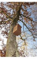 Nest Boxes Notebook