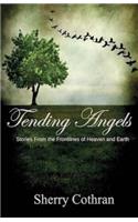 Tending Angels: Stories From the Frontlines of Heaven and Earth