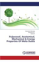 Pulpwood, Anatomical, Mechanical & Energy Properties of Melia Dubia