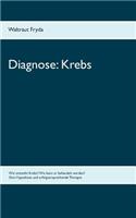 Diagnose: Krebs: Wie entsteht Krebs? Wie kann er behandelt werden? Eine Hypothese und erfolgversprechende Therapie(German)