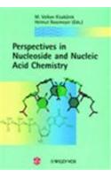 Perspectives in Nucleoside and Nucleic Acid Chemistry