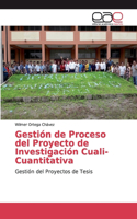 Gestión de Proceso del Proyecto de Investigación Cuali-Cuantitativa