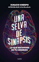 Una selva de sinapsis: Lo que escondes en tu cerebro