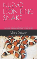 Nuevo Leon King Snake