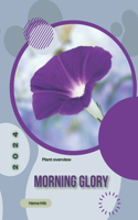 Morning Glory: Simply beginners guide