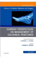Current Perspectives on Management of Calcaneal Fractures, an Issue of Clinics in Podiatric Medicine and Surgery