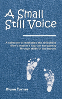 Small Still Voice