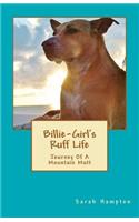 Billie-Girl's Ruff Life