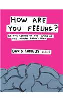 How Are You Feeling?: At the Centre of the Inside of The Human Brain’s Mind