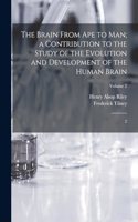 Brain From ape to man; a Contribution to the Study of the Evolution and Development of the Human Brain